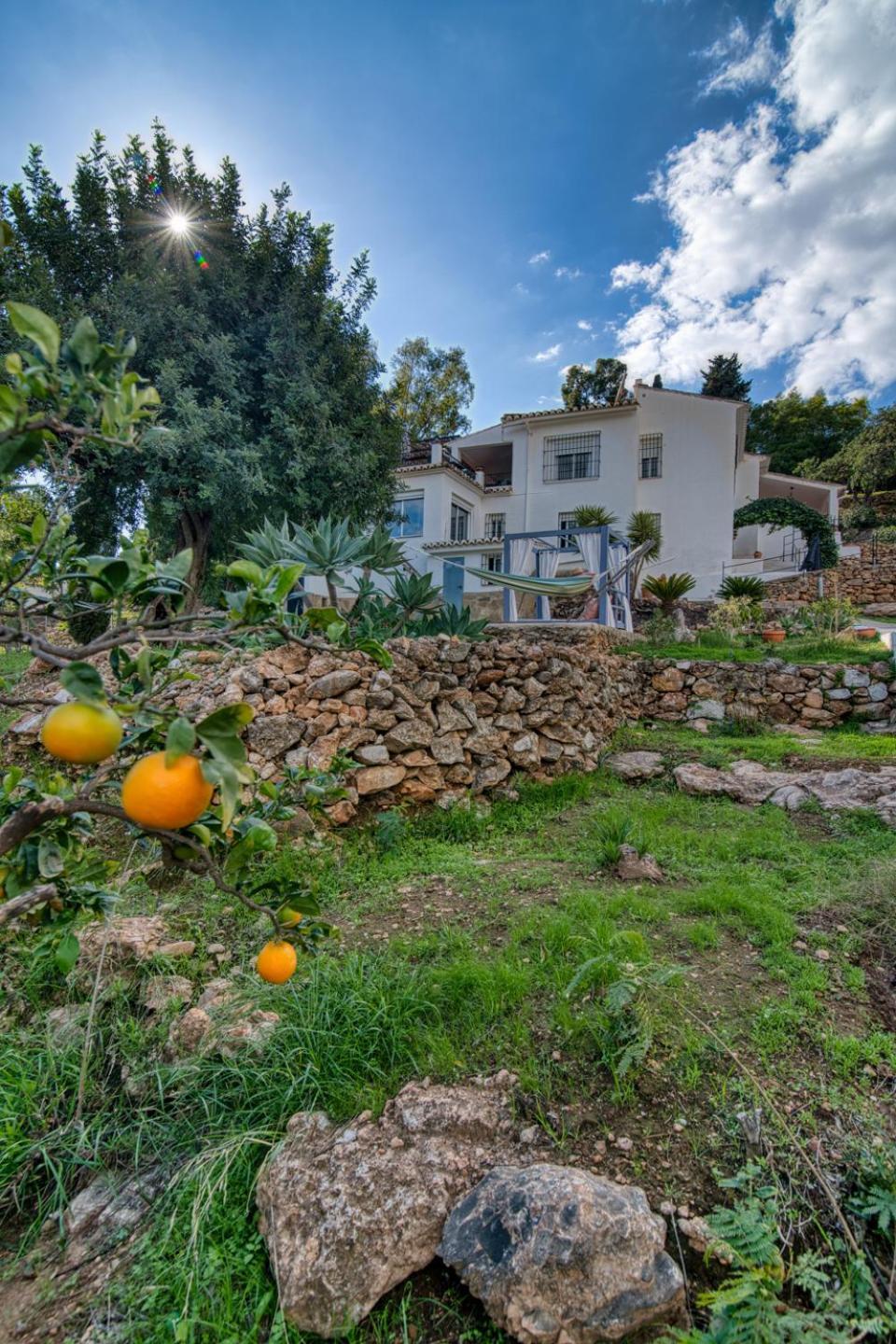 Villa Morera Bed & Breakfast Frigiliana Bagian luar foto